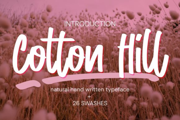 Cotton Hill: A Paint-Brushed Handwritten Font for Elegant Branding